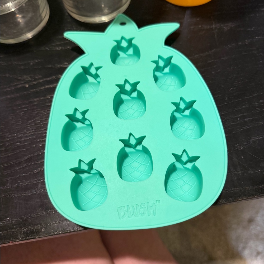 Blush Teal Pineapple Ice Mold